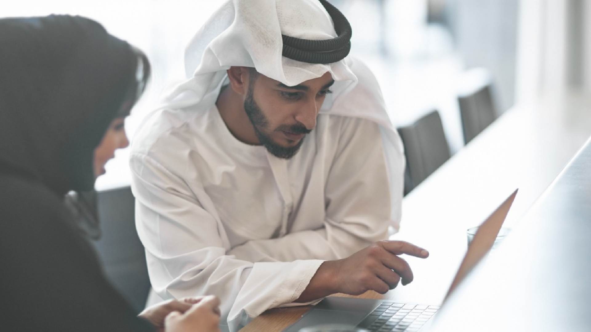 Emiratisation in the UAE Private Sector 